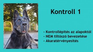 Kontroll 1