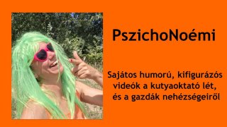 PszichoNoémi ... a zöldhajú sorozat