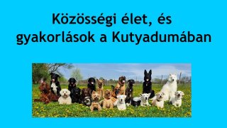 Közösségi élet és közös gyakorlások a Kutyadumában