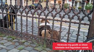 Kiscsoportos városi óránk