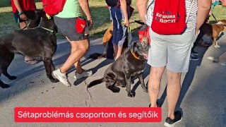 Sétaproblémás csoportom és segítőik