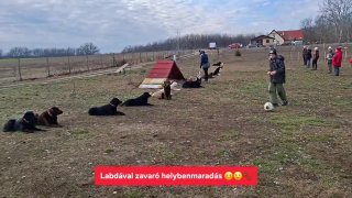 Helybenmaradás labdás zavarással
