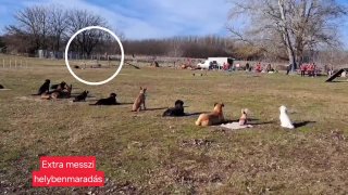 Extra távoli helybenmaradás, 1 hektár megkerülése