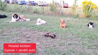 Helybenmaradás zavarása zenélő kisautóval