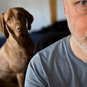 Alföldi Péter